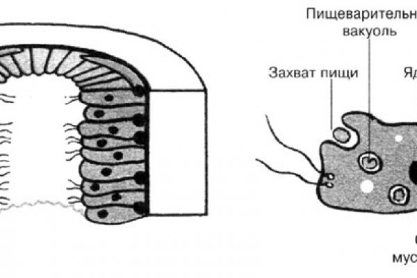 Кракен 9 at
