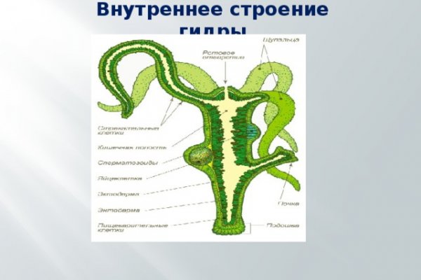 Что такое кракен шоп