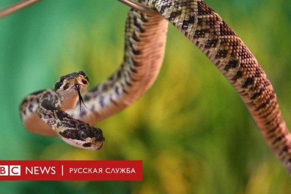 Кракен ссылка market pw