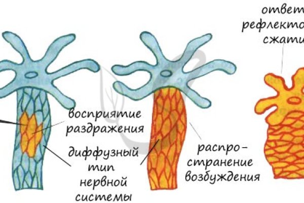 Сайт kraken darknet
